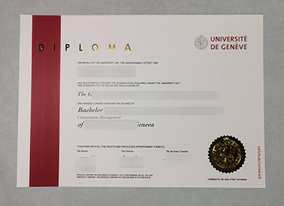 Fake UNIGE Diploma
