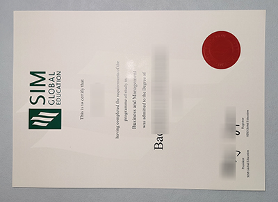 Fake SIM Diploma