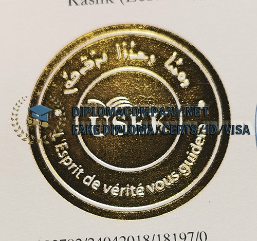 Fake USEK Diploma