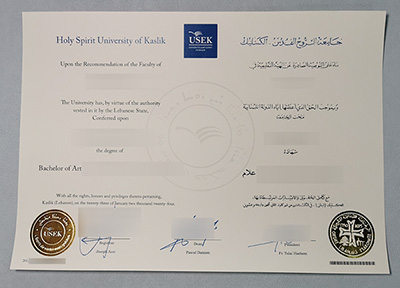 Fake USEK Diploma