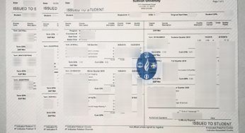 Buying a Fake Sullivan University Transcript