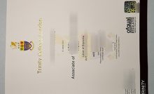 Fake TCL Degree