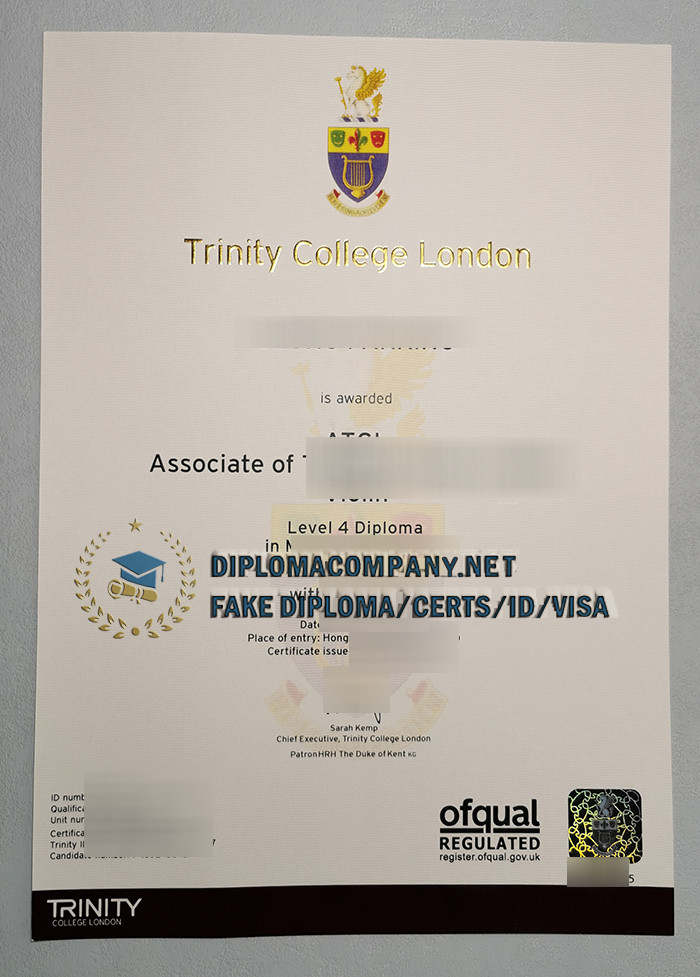 Fake TCL Degree
