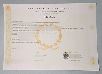 Fake Paris Dauphine University Diploma