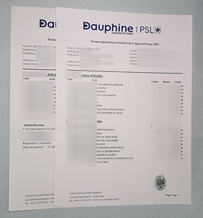 Fake Université Paris Dauphine Transcript