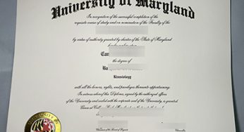Steps to Buy a Fake University of Maryland Diploma, Fake UMD Diploma