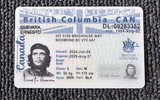 British Columbia Driver LIcence