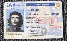 Delaware ID Driver License
