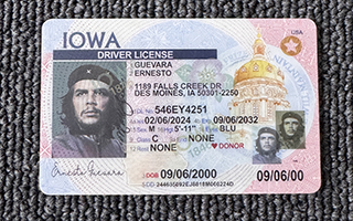 IOWA Driver license