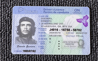 Ontario ID Driver's Licence
