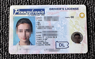 Pennsylvania Driving Licence