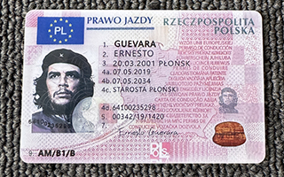 Polish driving license