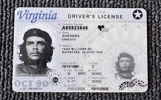 fake Virginia ID