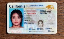 fake id maker