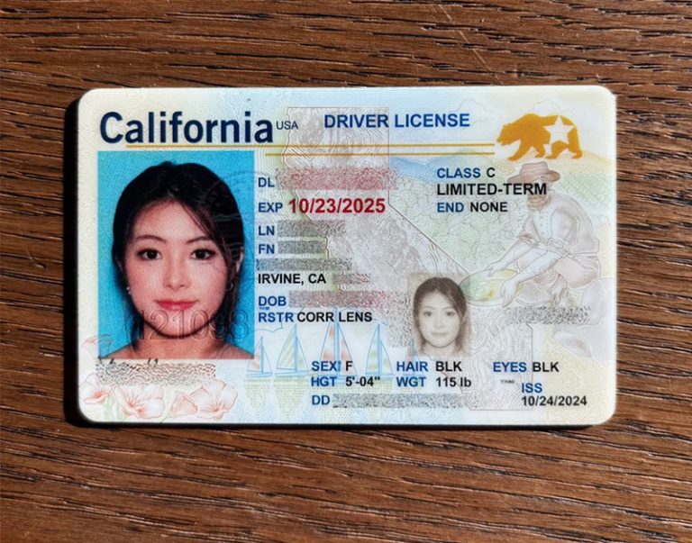 fake id maker