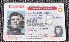 Illinois ID driver's license