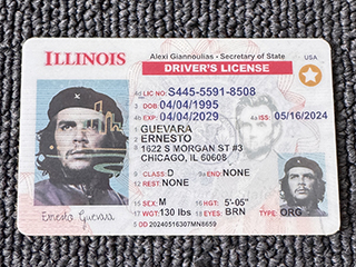 Illinois ID driver's license