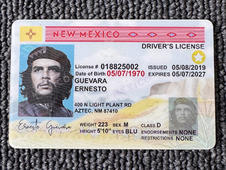 New Mexico ID Driver's License