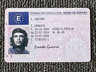 Spanish ID driving license
