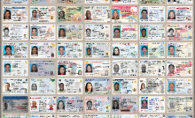 fake id online