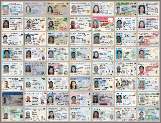 fake id online